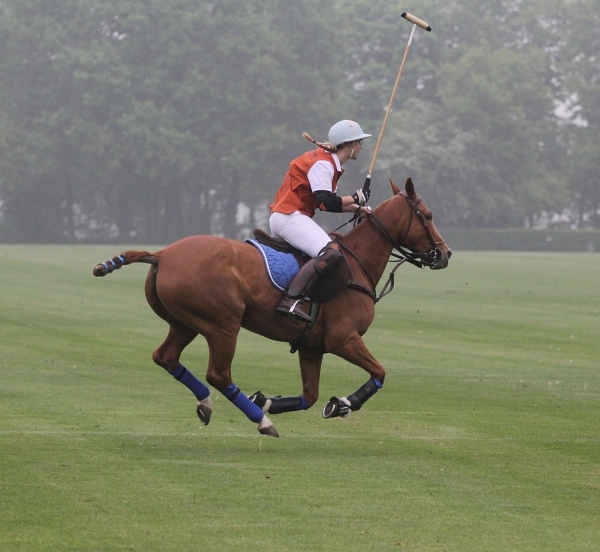 Polo_Art   079.jpg